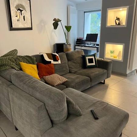 Appartement 110M2 Annemasse Bagian luar foto